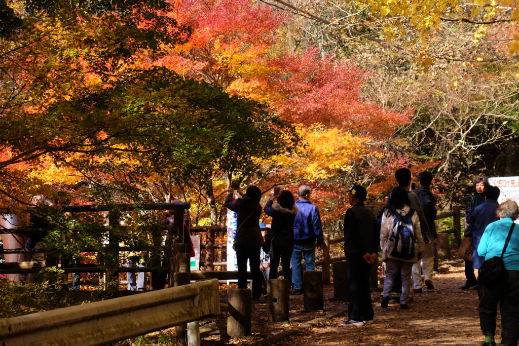 ツアーで行く 紅葉 袋田の滝 花貫渓谷 下 花貫渓谷編 高萩 茨城県 の旅行記 ブログ By 義臣さん フォートラベル