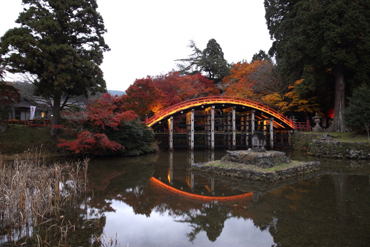 旅するイルカ 和歌山県 丹生都比売神社 紅葉 ライトアップへ 高野山周辺 和歌山県 の旅行記 ブログ By イルカさん フォートラベル