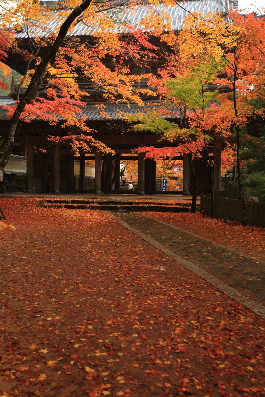 滋賀 紅葉めぐり 東光寺 永源寺 瓦屋寺 湖東三山 多賀 東近江 滋賀県 の旅行記 ブログ By ふーさん フォートラベル