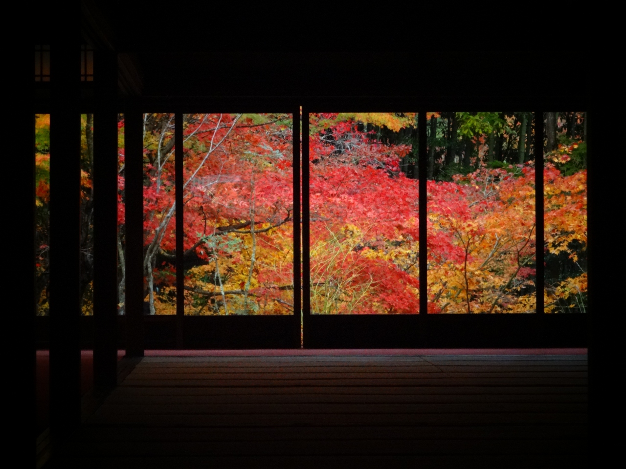京都さんぽ 紅葉の南禅寺 天授庵 東山 祇園 北白川 京都 の旅行記 ブログ By Marimosさん フォートラベル