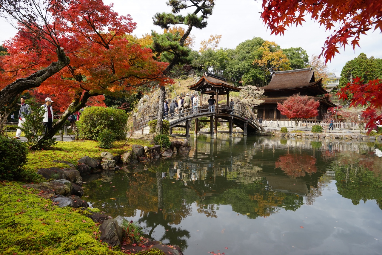 16 11 虎渓山 永保寺 多治見 の紅葉 多治見 岐阜県 の旅行記 ブログ By Mo2さん フォートラベル