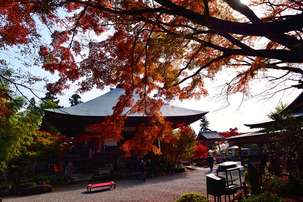 両子寺の紅葉16 国東 くにさき 姫島 大分県 の旅行記 ブログ By 気まぐれなデジカメ館さん フォートラベル