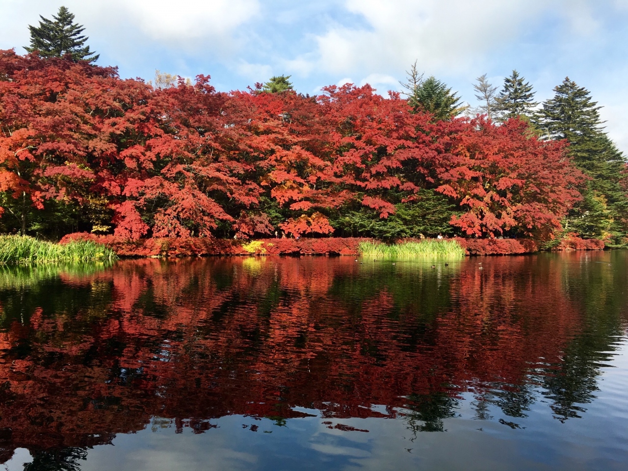 紅葉in軽井沢 16 長野県の旅行記 ブログ By Coralさん フォートラベル 紅葉in軽井沢 16 長野県の旅行記 ブログ By Coralさん フォートラベル