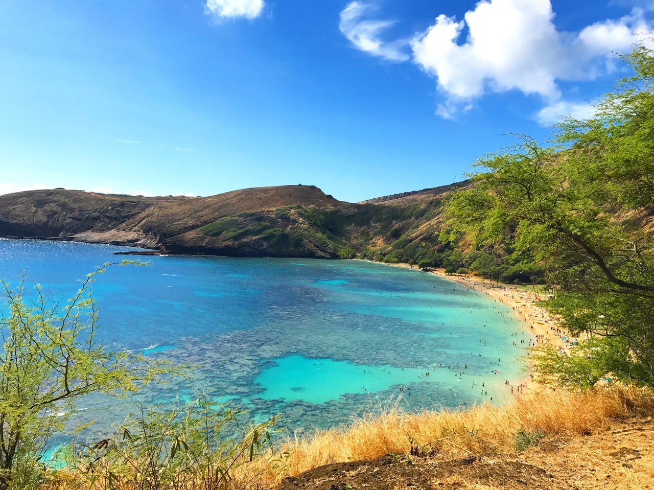 家族6人 初hawaii シュノーケリング ホノルル ハワイ の旅行記 ブログ By 華さん フォートラベル