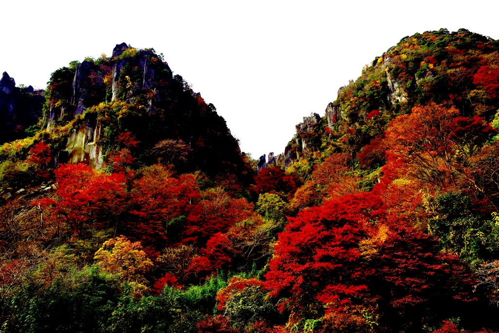 一目八景の紅葉16 耶馬溪 中津 玖珠 大分県 の旅行記 ブログ By 気まぐれなデジカメ館さん フォートラベル