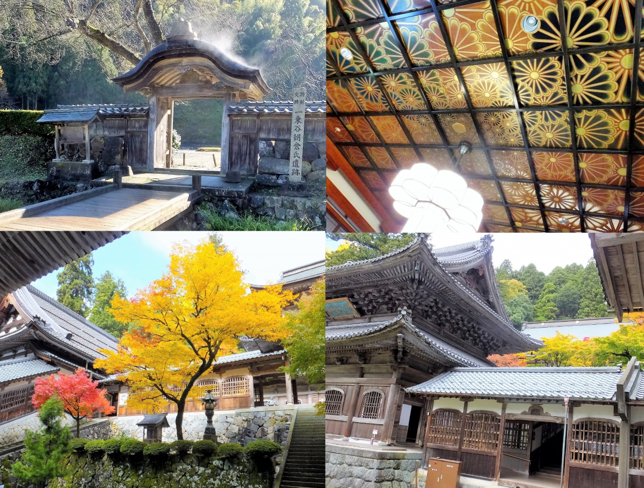 一乗谷朝倉氏遺跡 永平寺 紅葉と歴史ロマンを体感してきました O 永平寺 丸岡 福井県 の旅行記 ブログ By Mioさん フォートラベル