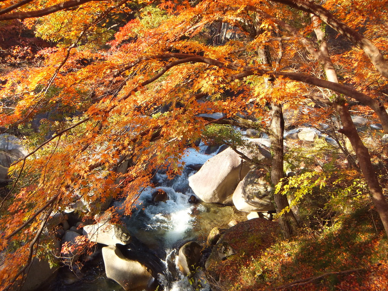 紅葉以上雪未満 晩秋の甲州 猿橋 昇仙峡 甲府 山梨県 の旅行記 ブログ By こんさん フォートラベル