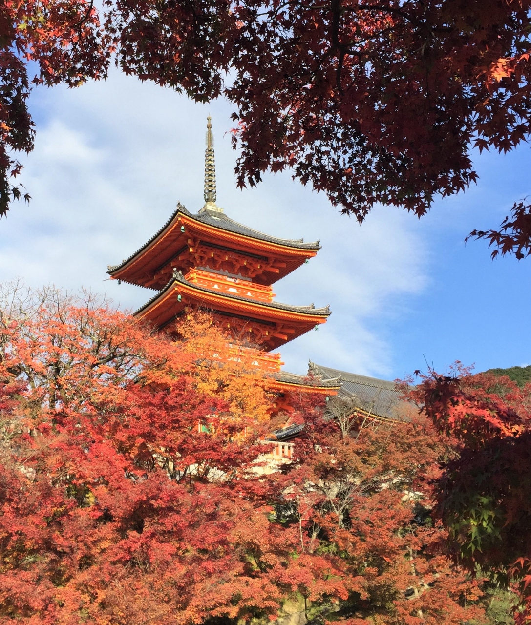 清水寺の紅葉 京都の旅行記 ブログ By 夏ミカンさん フォートラベル 清水寺の紅葉 京都の旅行記 ブログ By 夏ミカンさん フォートラベル
