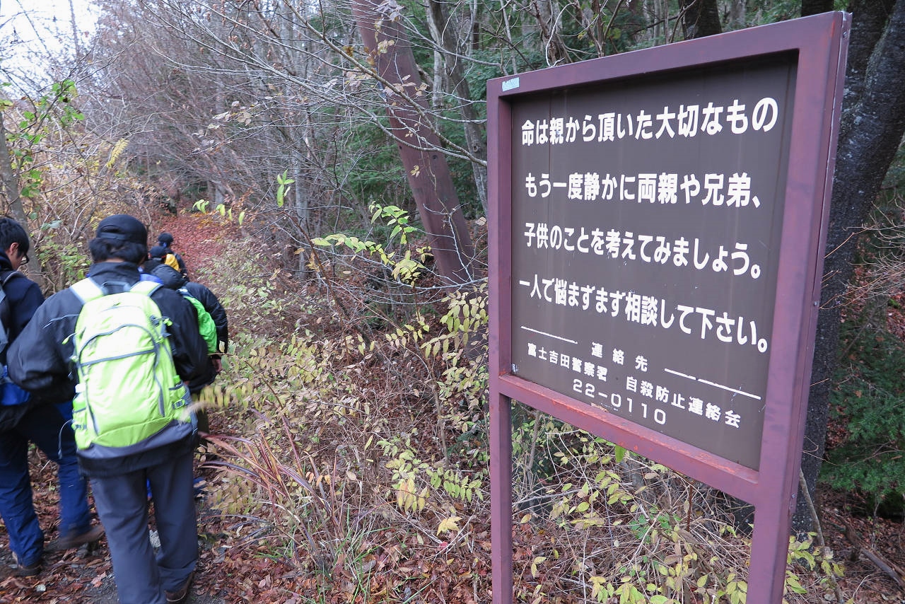 ケ 樹海 青木 原