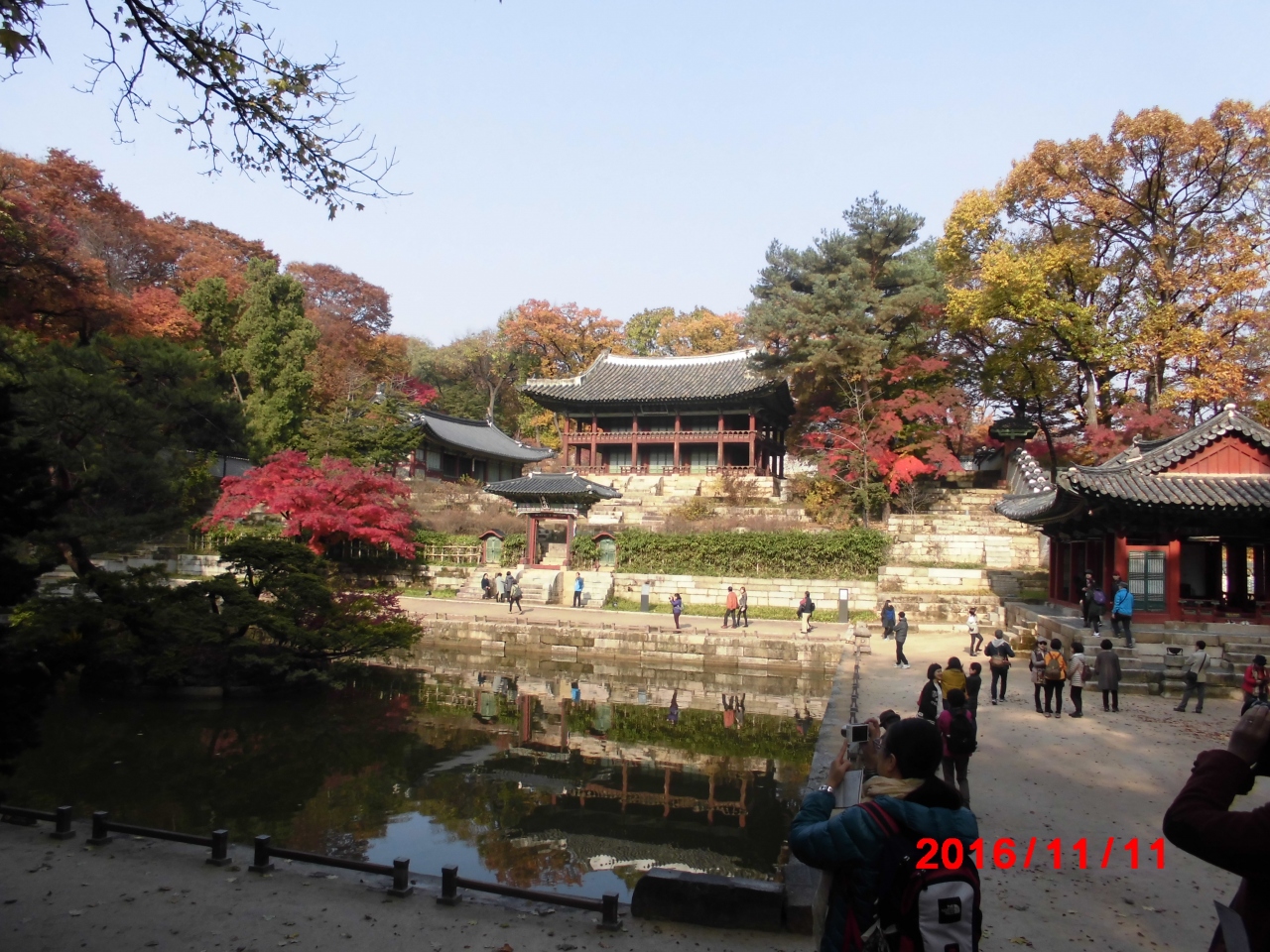 秋の韓国の旅 その４ ソウル 昌徳宮後苑 ソウル 韓国 の旅行記 ブログ By ソウルの旅人さん フォートラベル