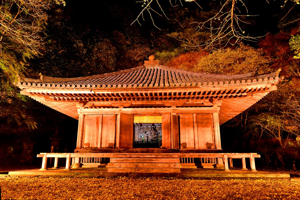 富貴寺ライトアップ16 宇佐 豊後高田 大分県 の旅行記 ブログ By 気まぐれなデジカメ館さん フォートラベル