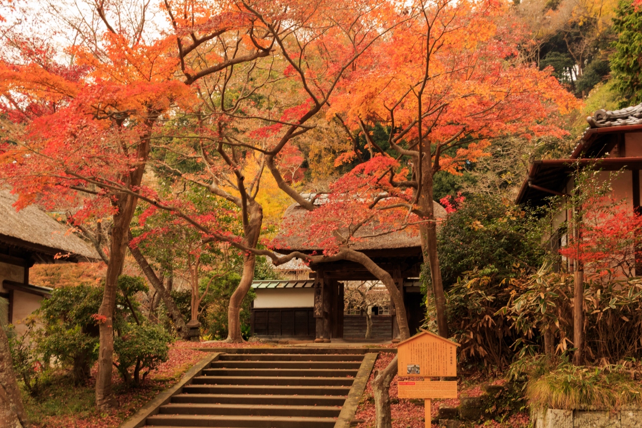 紅葉を愛でに鎌倉へ 円覚寺 建長寺 長寿寺 鎌倉 神奈川県 の旅行記 ブログ By ひろさん フォートラベル