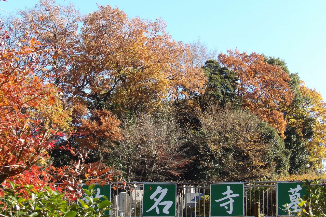 白山神社裏山尾根から今泉不動へ 鎌倉 神奈川県 の旅行記 ブログ By ドクターキムルさん フォートラベル