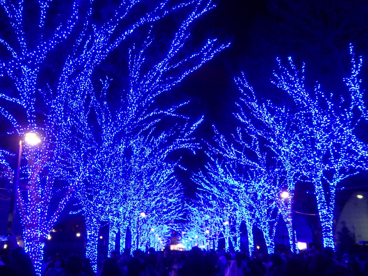 渋谷青の洞窟 ヒカリエ イルミネーション散策 渋谷 東京 の旅行記 ブログ By たなまるさん フォートラベル 渋谷青の洞窟 ヒカリエ イルミネーション散策 渋谷 東京 の旅行記 ブログ By たなまるさん フォートラベル