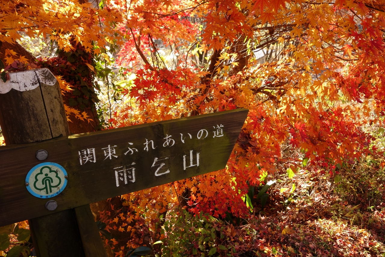 関東ふれあいの道 神奈川県コース 山里から津久井湖へのみち 津久井湖 相模湖 神奈川県 の旅行記 ブログ By けんいちさん フォートラベル