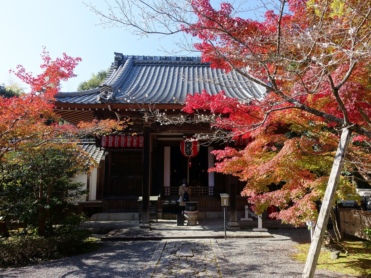 16錦繍の赤山禅院 下鴨 宝ヶ池 平安神宮 京都 の旅行記 ブログ By Rosaryさん フォートラベル