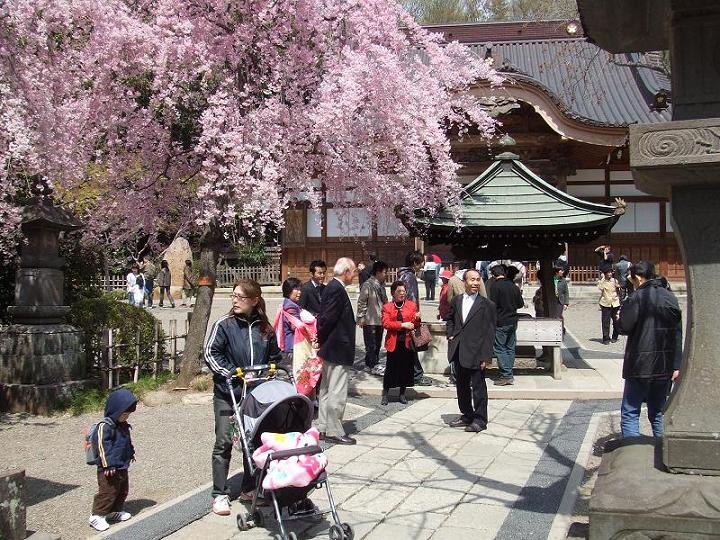 下北沢 深大寺散歩 06 04 08 09 東京の旅行記 ブログ By 台湾見聞録さん フォートラベル
