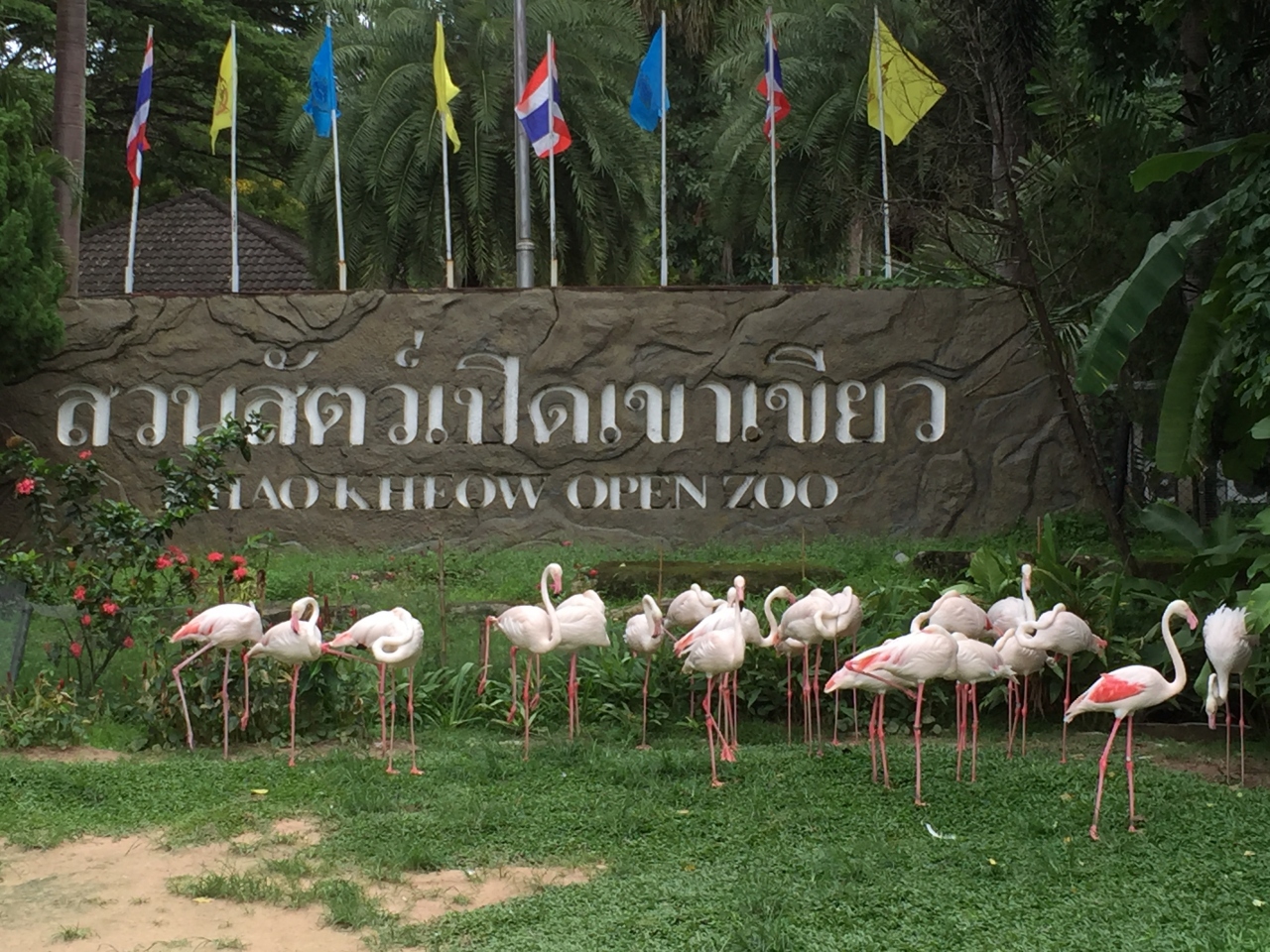 再びの子連れパタヤと初ラオス In 16 3 カオキアオ動物園 バンコク タイ の旅行記 ブログ By みみすけさん フォートラベル 再びの子連れパタヤと初ラオス In 16 3 カオキアオ動物園 バンコク タイ の旅行記 ブログ By みみすけさん フォートラベル