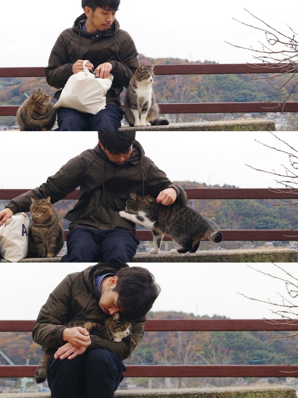 猫と癒しの時間尾道へ 1日目 尾道 広島県 の旅行記 ブログ By Kenさん フォートラベル 猫と癒しの時間尾道へ 1日目 尾道 広島県 の旅行記 ブログ By Kenさん フォートラベル