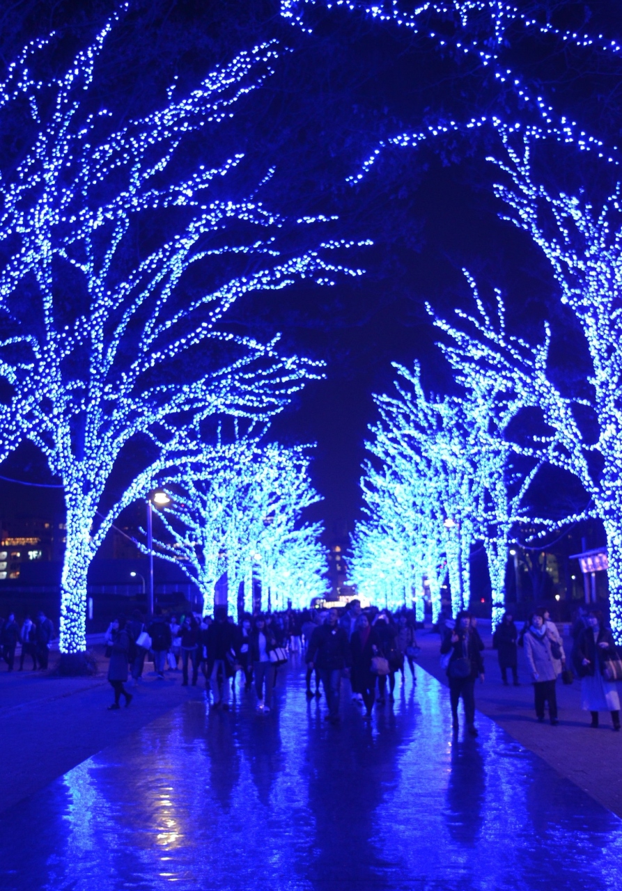 渋谷 青の洞窟 渋谷 東京 の旅行記 ブログ By Takeおじさん フォートラベル 渋谷 青の洞窟 渋谷 東京 の旅行記 ブログ By Takeおじさん フォートラベル