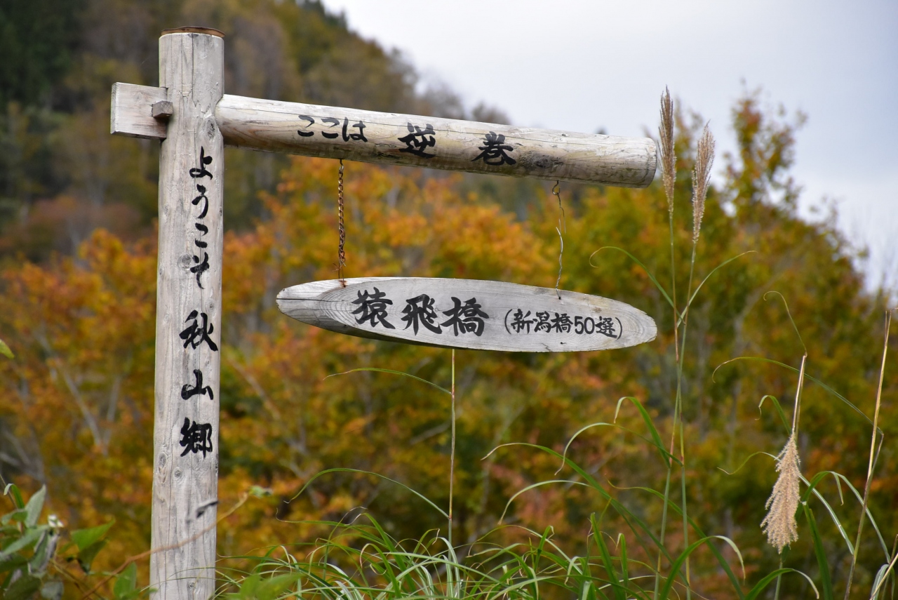 苗場山麓ジオパーク 山菜料理の秘湯逆巻温泉 新潟県秋山郷 500冊目 十日町 津南 新潟県 の旅行記 ブログ By かっちんさん フォートラベル