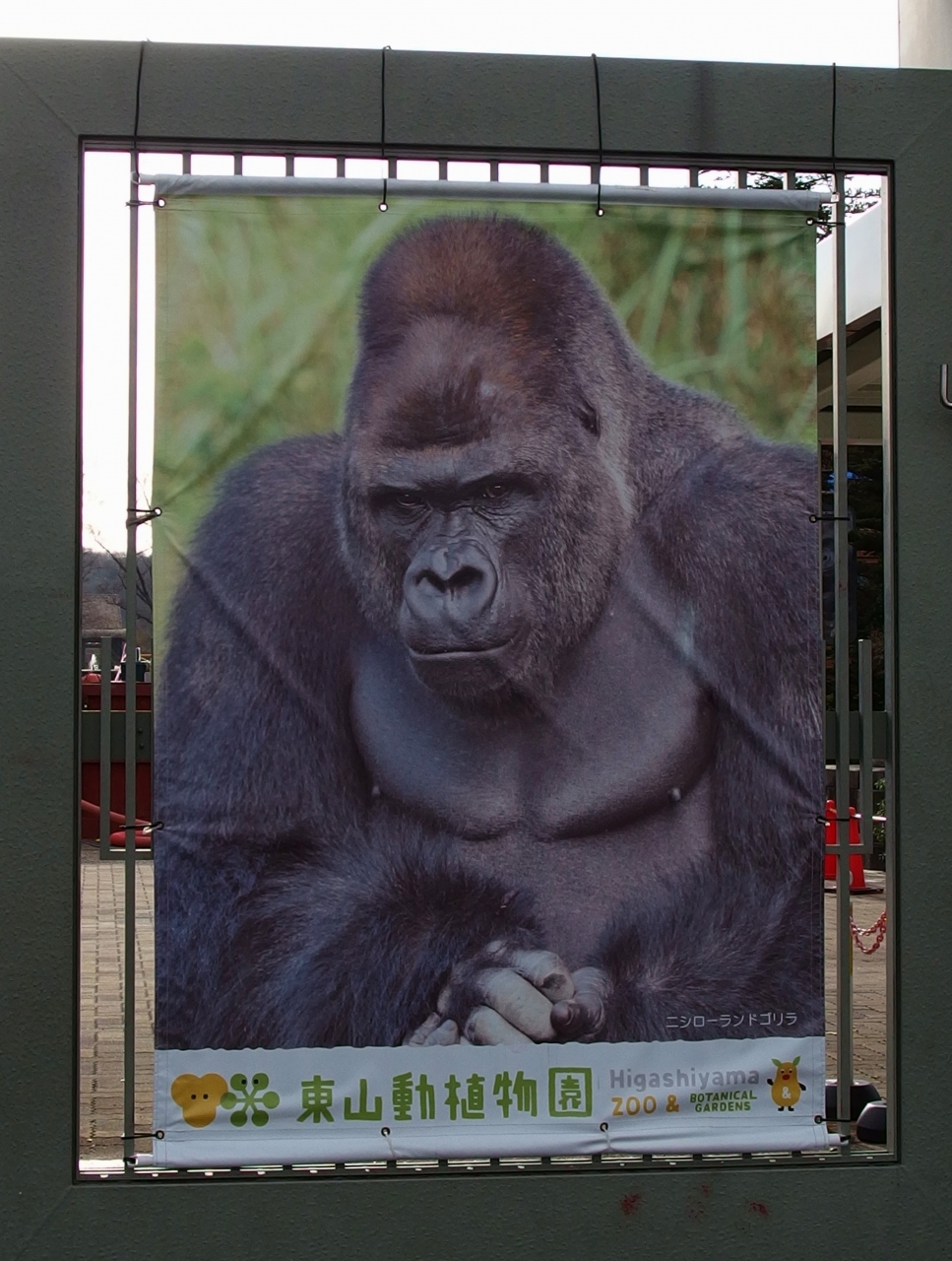 今年の歩き納め 閑散とした東山動物園から平和公園1万歩コースへ 千種 今池 愛知県 の旅行記 ブログ By みちるさん フォートラベル 今年の歩き納め 閑散とした東山動物園から平和公園1万歩コースへ 千種 今池 愛知県 の旅行記 ブログ By みちるさん フォートラベル