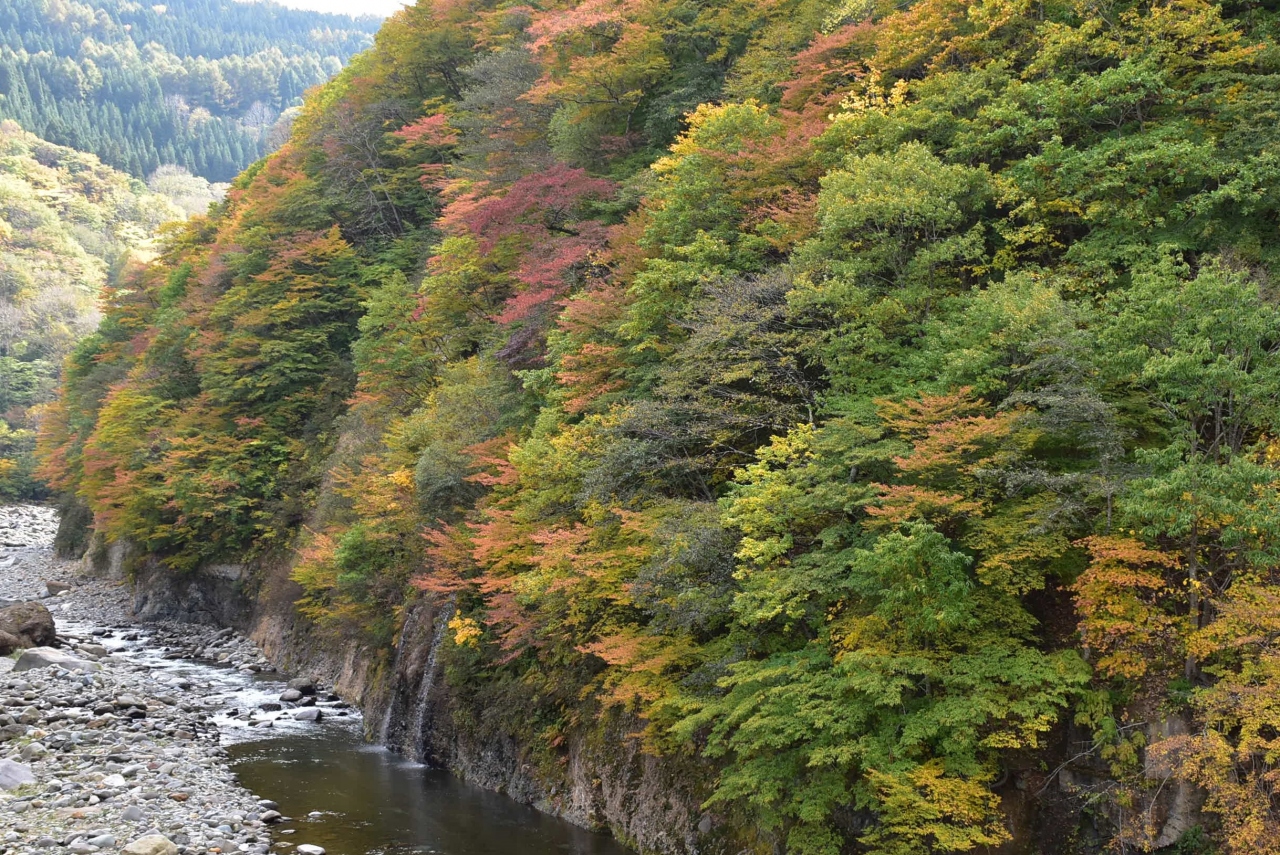 路線バスでゆく秋山郷と秘湯切明温泉の旅 新潟長野 十日町 津南 新潟県 の旅行記 ブログ By かっちんさん フォートラベル