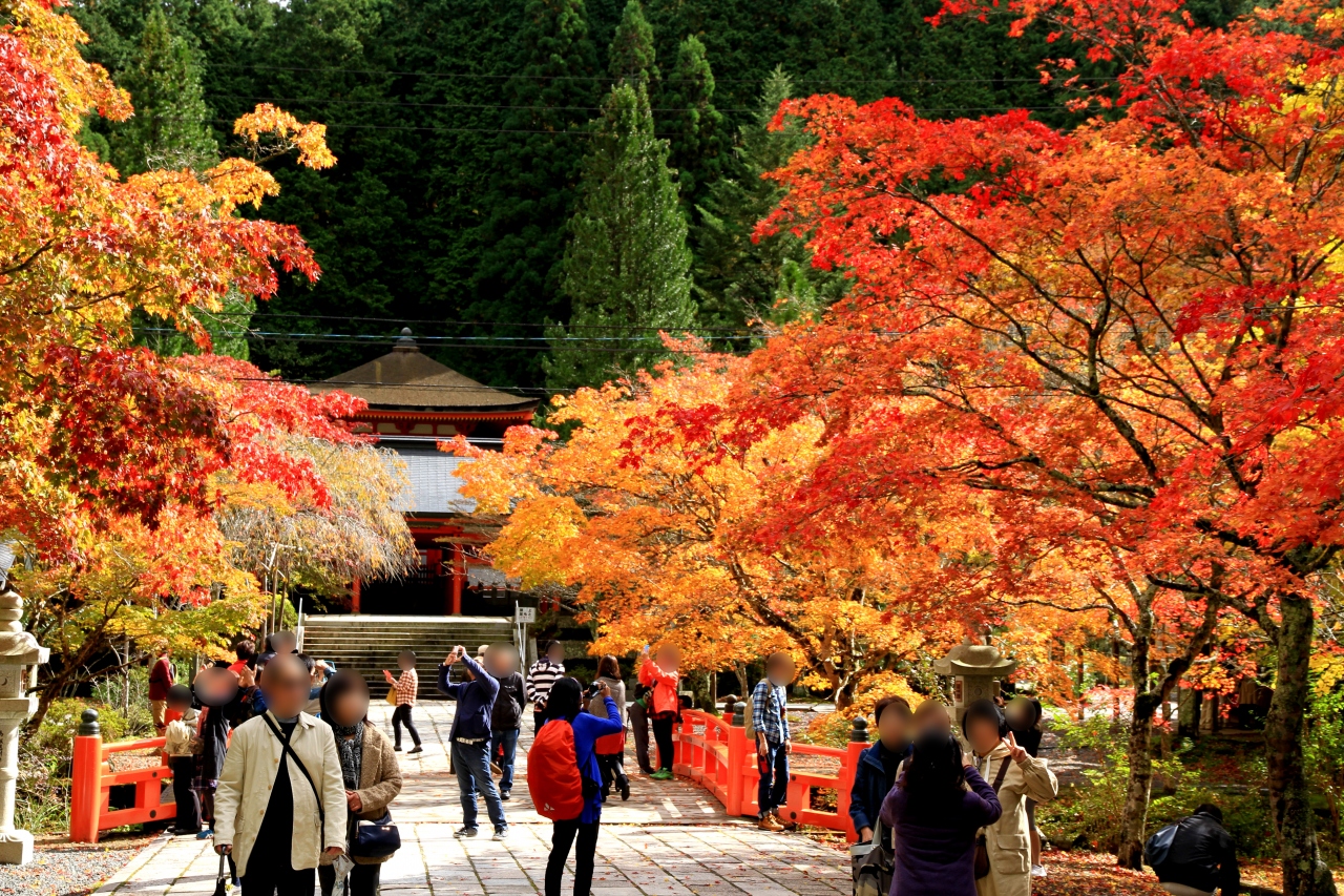 高野山の紅葉 高野山周辺 和歌山県 の旅行記 ブログ By きよさん フォートラベル