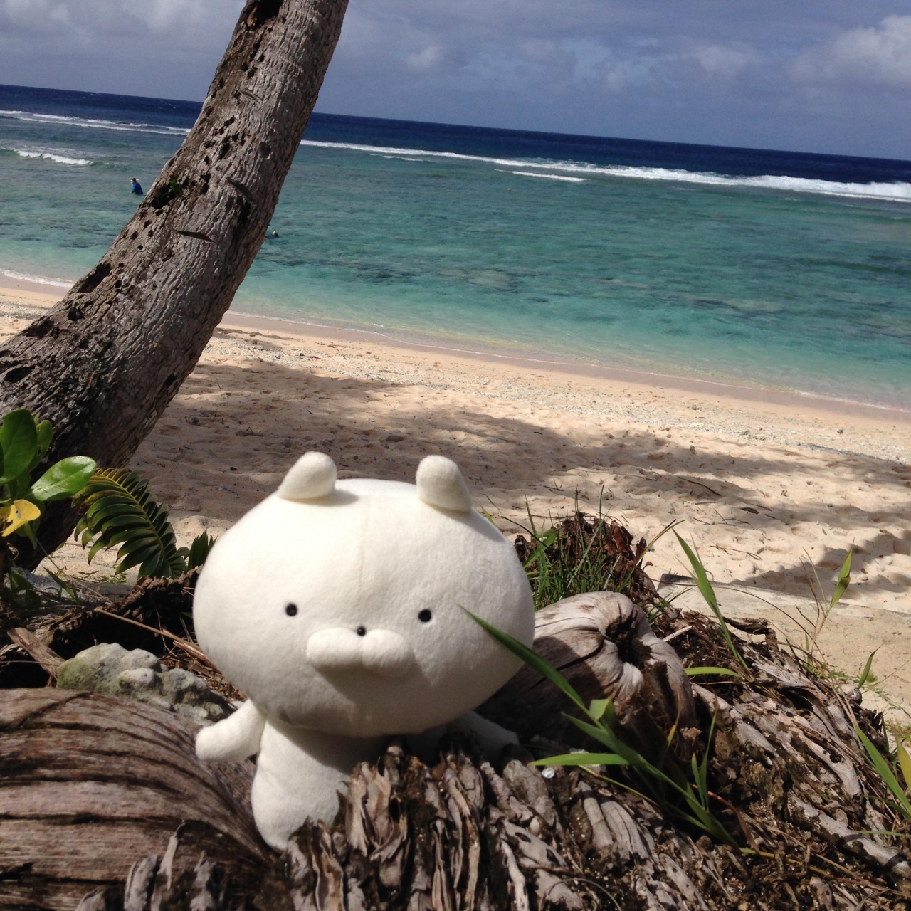 モリゾーとニャンちゅうのグアム新婚旅行 グアム グアム の旅行記 ブログ By モリゾーさん フォートラベル モリゾーとニャンちゅうのグアム新婚旅行 グアム グアム の旅行記 ブログ By モリゾーさん フォートラベル