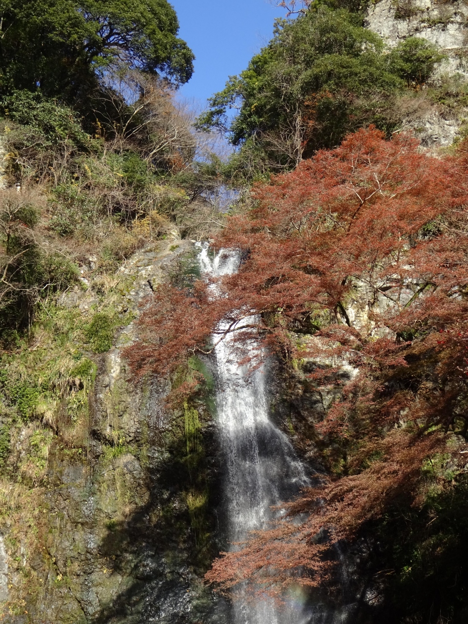 晩秋 箕面の紅葉を楽しむ 箕面 大阪 の旅行記 ブログ By オカンカンさん フォートラベル 晩秋 箕面の紅葉を楽しむ 箕面 大阪 の旅行記 ブログ By オカンカンさん フォートラベル