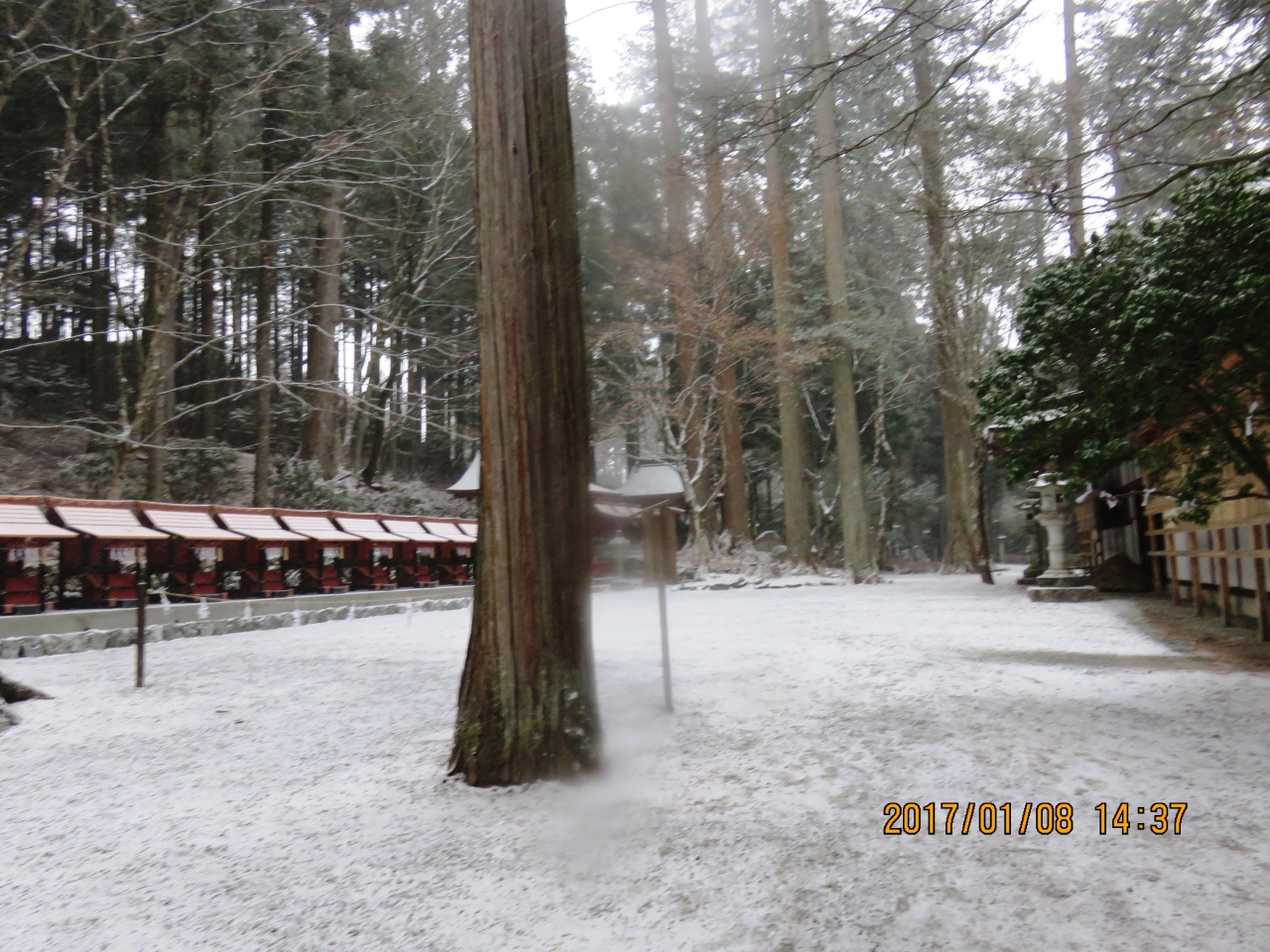 三峯神社 突然の 雪で 帰りは スリップして 事故りそうで ハラハラ 秩父 埼玉県 の旅行記 ブログ By An1022anさん フォートラベル 三峯神社 突然の 雪で 帰りは スリップして 事故りそうで ハラハラ 秩父 埼玉県 の旅行記 ブログ By An1022anさん フォートラベル