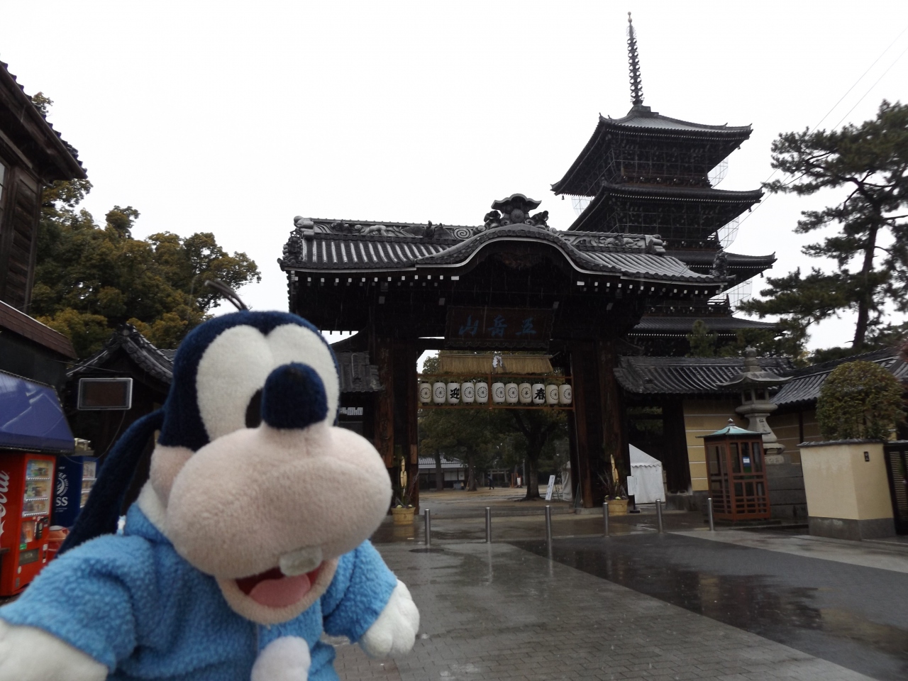 グーちゃん 金毘羅さんへ行く 善通寺の人間山脈とは 編 善通寺市 香川県 の旅行記 ブログ By グーちゃんさん フォートラベル