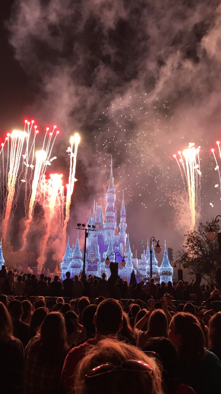 ウォルト ディズニー ワールド16カウントダウン 伊丹 成田 シカゴ オーランド オーランド アメリカ の旅行記 ブログ By コニブーさん フォートラベル