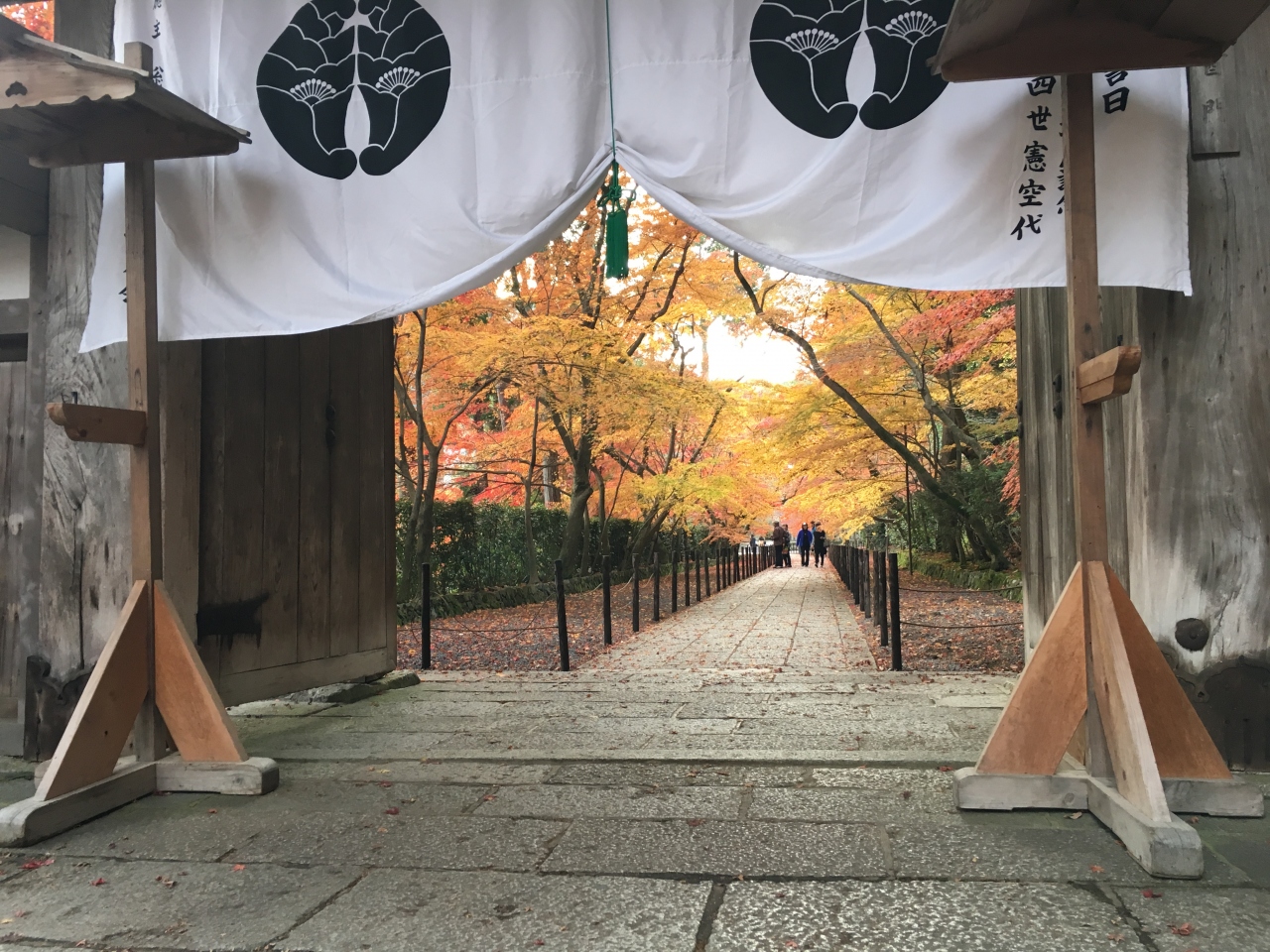 16紅葉京都府長岡京 光明寺 小倉山荘ランチ 長岡京 向日 京都 の旅行記 ブログ By めぇさん フォートラベル