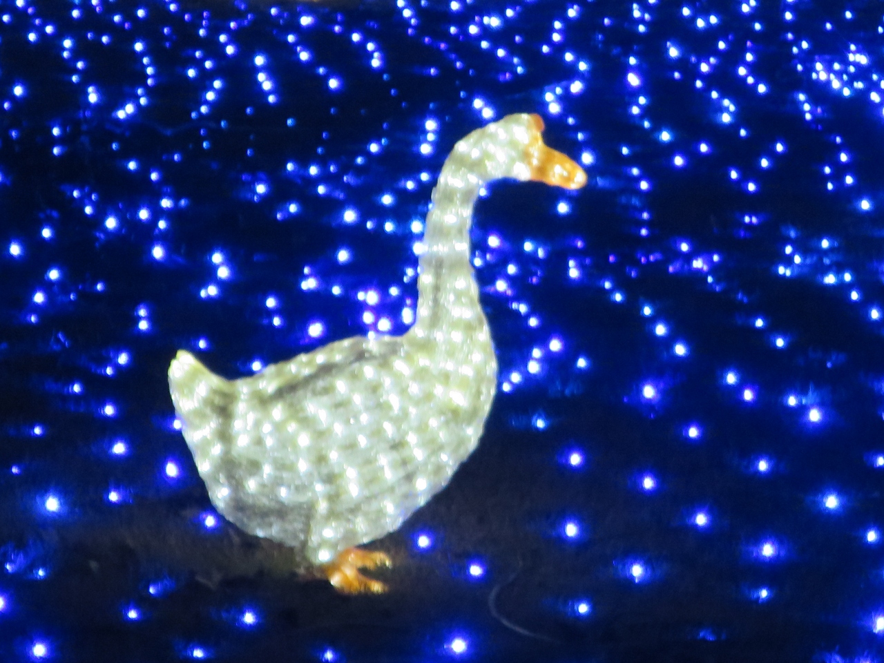 東京ドイツ村イルミネーション 木更津アウトレット 袖ヶ浦 千葉県 の旅行記 ブログ By ぱぐちゃんさんさん フォートラベル 東京ドイツ村イルミネーション 木更津アウトレット 袖ヶ浦 千葉県 の旅行記 ブログ By ぱぐちゃんさんさん フォートラベル