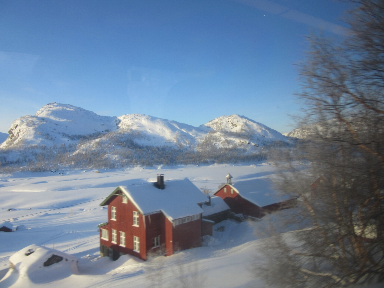 北欧オーロラの旅 ベルゲン鉄道 フッティルーテンの船旅 ベルゲン ノルウェー の旅行記 ブログ By Jetstreamさん フォートラベル