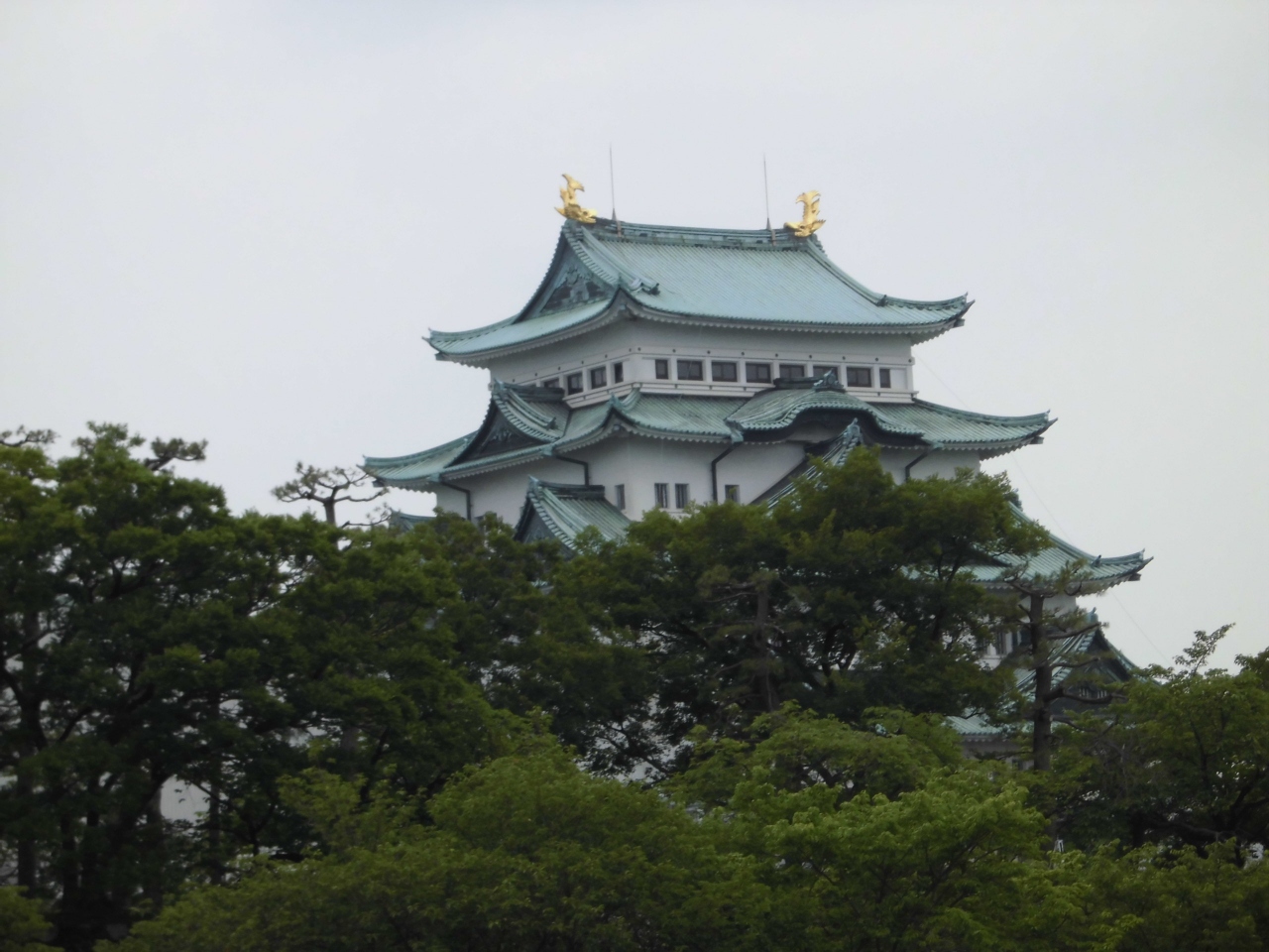 名古屋散歩 名古屋 愛知県 の旅行記 ブログ By Tamaさん フォートラベル 名古屋散歩 名古屋 愛知県 の旅行記 ブログ By Tamaさん フォートラベル