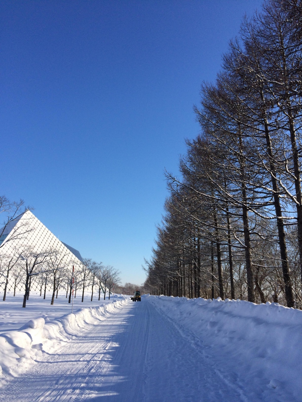 冬のモエレ沼公園 2017 札幌 北海道 の旅行記 ブログ By Vietcafeさん フォートラベル 冬のモエレ沼公園 2017 札幌 北海道 の旅行記 ブログ By Vietcafeさん フォートラベル