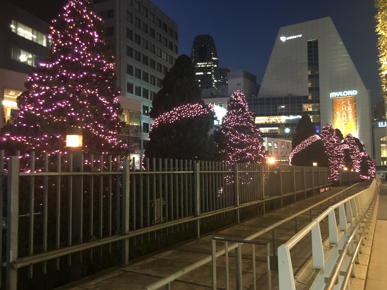 ブラジル料理シュラスコ食べ放題ランチと新宿街ブラ 新宿 東京 の旅行記 ブログ By Yasuさん フォートラベル