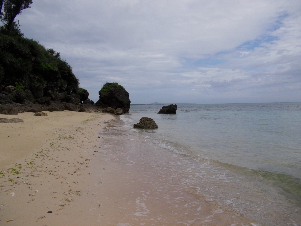 『梅雨MAXの石垣・沖縄本島 2』美ら海・本部・今帰仁(沖縄県)の旅行記・ブログ by mhlotus51さん【フォートラベル】 『梅雨MAXの石垣・沖縄本島 2』美ら海・本部・今帰仁(沖縄県)の旅行記・ブログ by mhlotus51さん【フォートラベル】