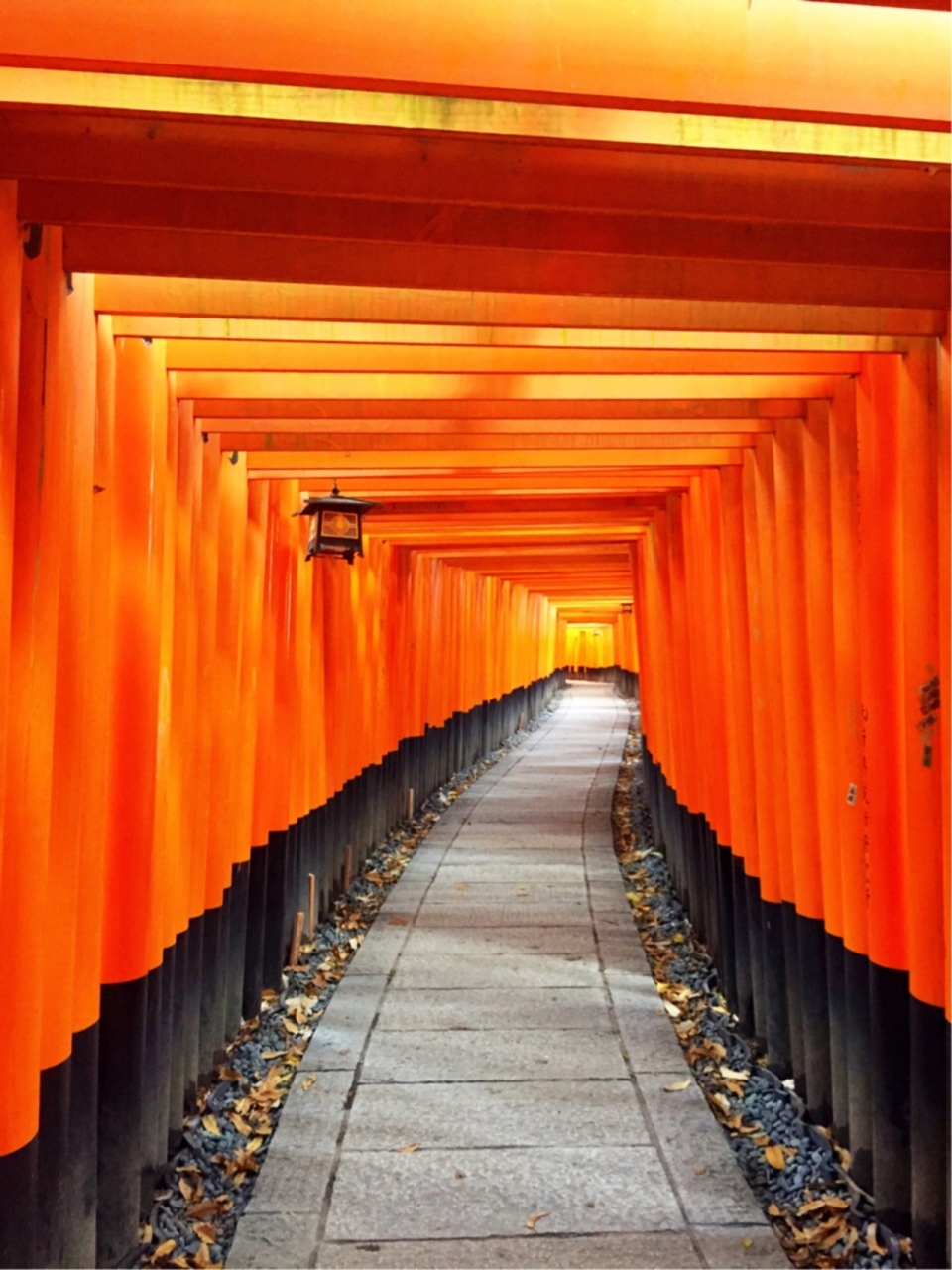 16 12 京都 伏見稲荷 清水寺 嵐山 東山 祇園 北白川 京都 の旅行記 ブログ By あけちさん フォートラベル