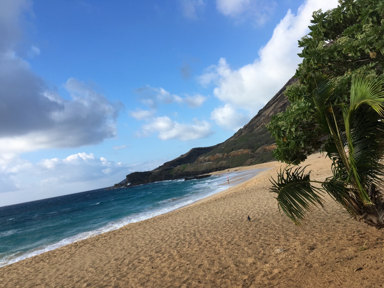 ビジネスクラスで行くハワイ 男の一人旅 弾丸２泊４日 最初から最後まで オアフ島 ハワイ の旅行記 ブログ By Hi Cornさん フォートラベル