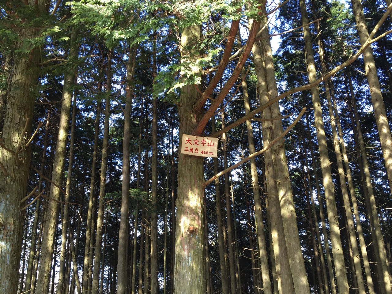 子連れ大文字山ハイキング 銀閣寺から蹴上 下鴨 宝ヶ池 平安神宮 京都 の旅行記 ブログ By Tamutamuさん フォートラベル