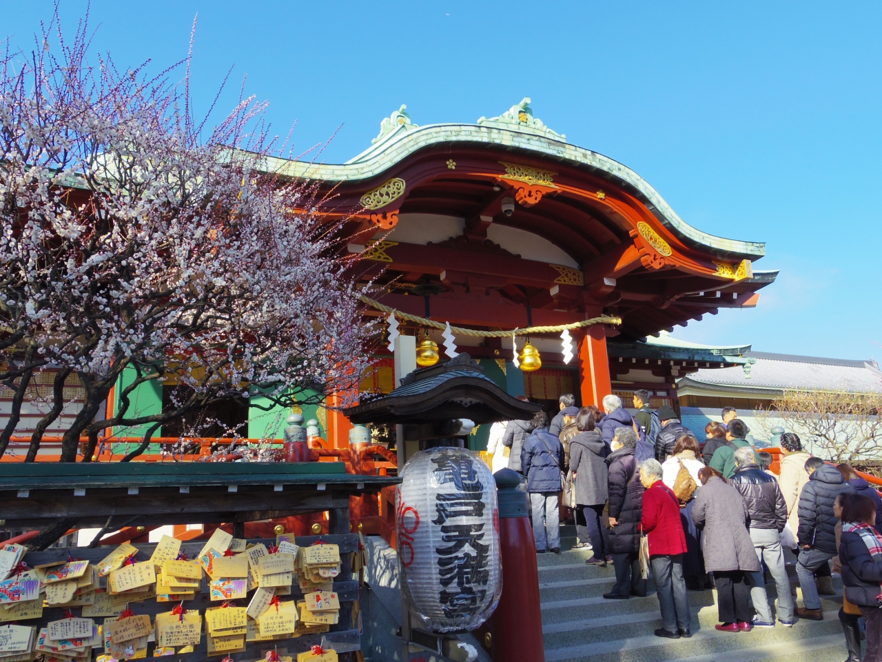 香取神社紅梅園 と 亀戸天神の梅 亀戸 東京 の旅行記 ブログ By 夏への扉さん フォートラベル 香取神社紅梅園 と 亀戸天神の梅 亀戸 東京 の旅行記 ブログ By 夏への扉さん フォートラベル