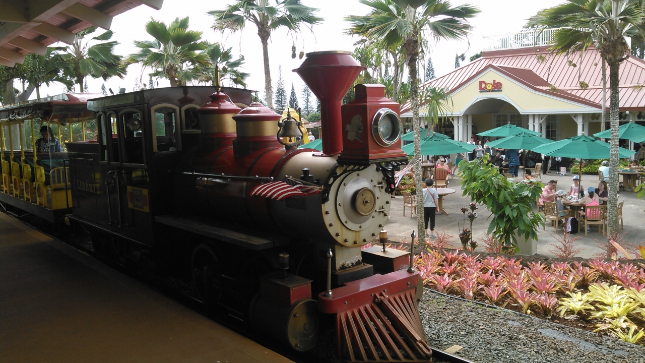 久しぶりのハワイ オアフ島 2日目 ザ バスでドールプランテーションへ オアフ島 ハワイ の旅行記 ブログ By ルーファンさん フォートラベル