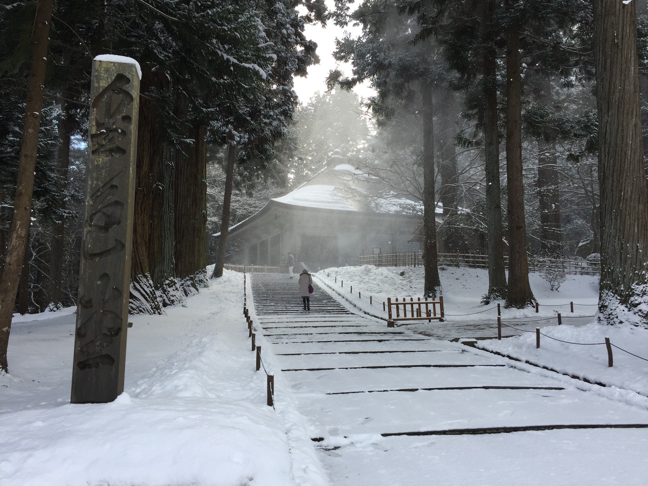 みちのく一人旅 ２ 冬の岩手 北上 水沢 平泉 一ノ関 東京 岩手県の旅行記 ブログ By 雪女さん フォートラベル
