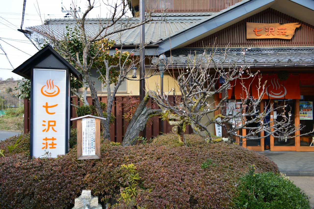17年3月初旬 厚木 ゼロ磁場七沢荘で癒されました 亀石はド迫力 厚木 神奈川県 の旅行記 ブログ By Mizuckyさん フォートラベル