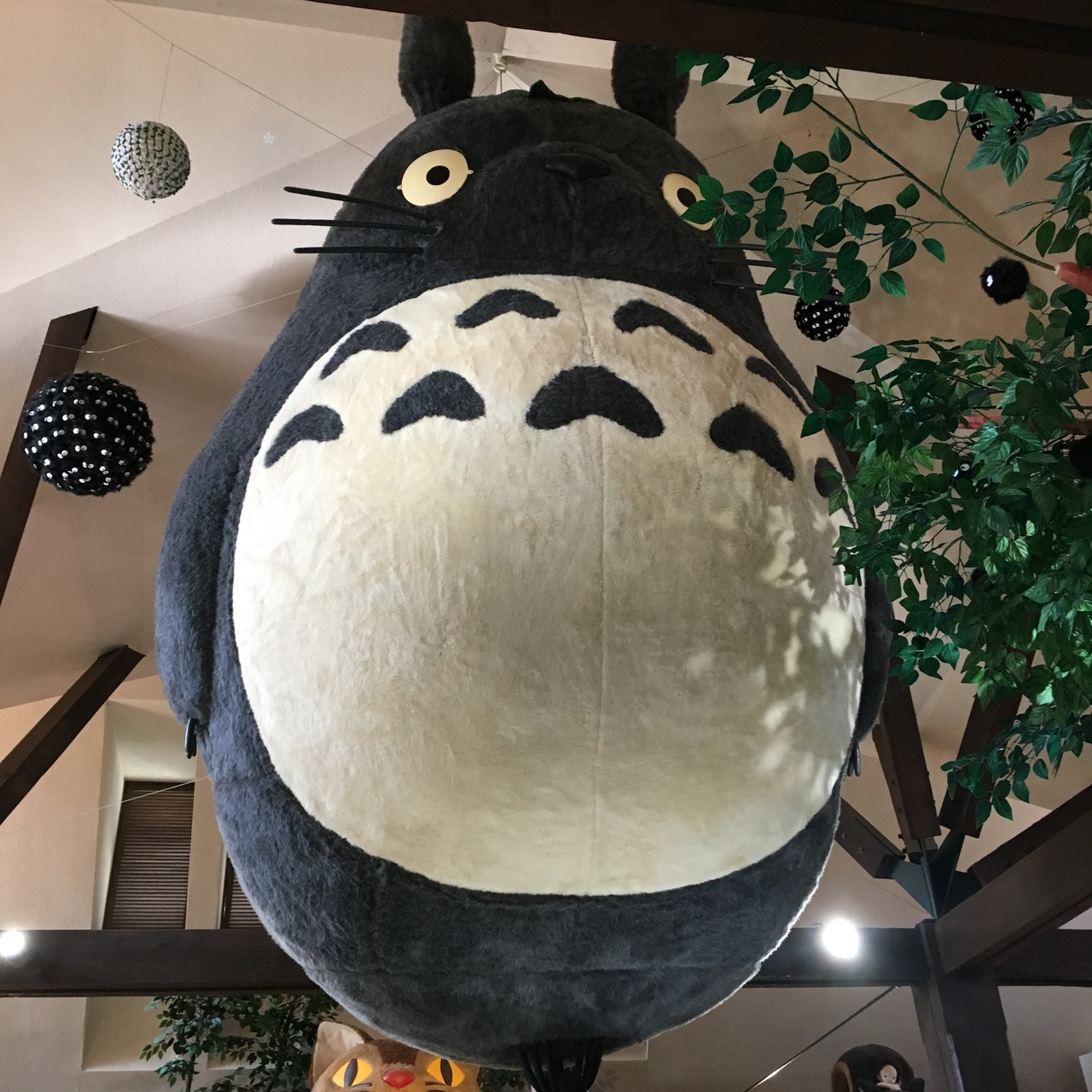 トトロと恐竜を見に3月の伊豆へ 子連れ 伊東温泉 静岡県 の旅行記 ブログ By みずたまさん フォートラベル