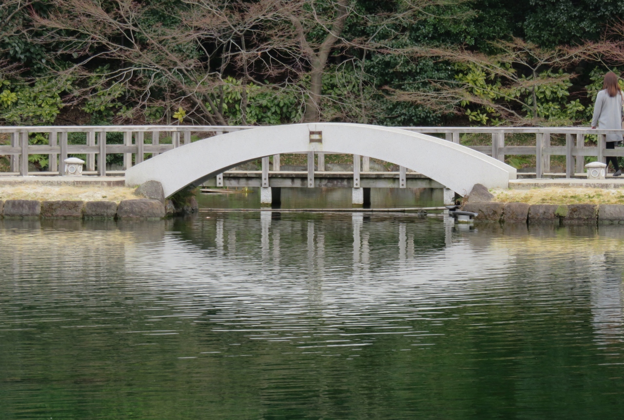 17春 梅の花咲く徳川園 3 5 3月5日 3 白梅 青軸 菰掛け 西湖堤 錦鯉 紅白 歌碑 福寿草 水琴窟 一休椿 名古屋 愛知県 の旅行記 ブログ By 旅人のくまさんさん フォートラベル 17春 梅の花咲く徳川園 3 5 3月5日 3 白梅 青軸 菰掛け 西湖堤 錦鯉 紅白 歌碑 福寿草 水琴窟 一休椿 名古屋 愛知県 の旅行記 ブログ By 旅人のくまさんさん フォートラベル