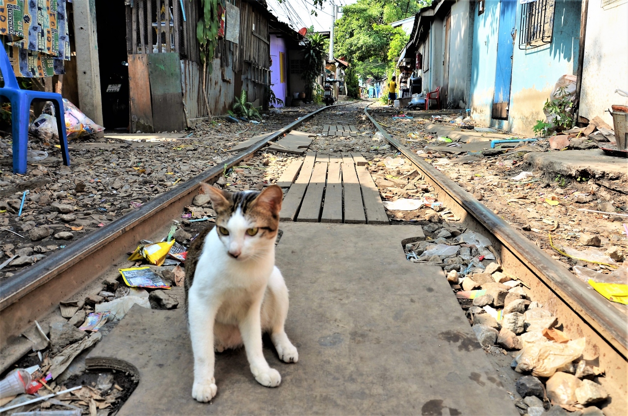 バンコク 貧困の中にあるハピネス バンコク最大のスラム街 クロントゥーイ スラム を歩いてみた オッサンネコの徒然記 バンコク タイ の旅行記 ブログ By Morisukeさん フォートラベル